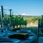 Quale attività posso avviare in Piemonte nel 2023?